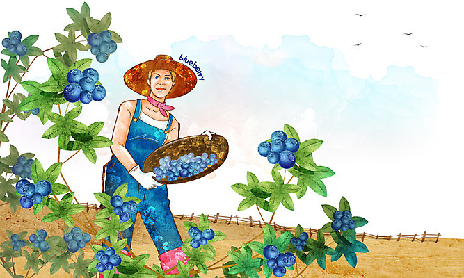 PSD 식물 동물 모자 웰빙 여자 열매 잎 과일 일러스트 조류 하늘 장화 한명 서기 사람 초원 상반신 성인 농작물 울타리 농장 바구니 스카프 농부 멜빵바지 친환경 유기농 밀짚모자 블루베리 여자만 여자한명만 성인여자만 성인만 국내일러스트 직업 모자_잡화 1 잡화 신발 농업 바지 모션 담장 환경 목도리 멜빵 파일형식