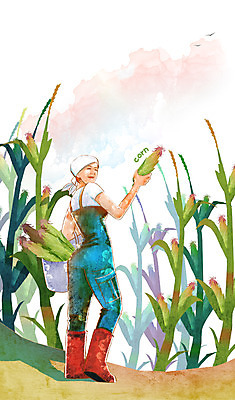 전신 PSD 식물 웰빙 여자 잎 밭 채소 일러스트 하늘 곡류 작업복 두건 옥수수 장화 한명 서기 웃음 들기 사람 성인 농작물 농장 친환경 유기농 옥수수밭 여자만 여자한명만 성인여자만 성인만 국내일러스트 1 옷 신발 농업 모션 표정 환경 파일형식