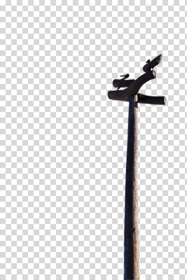 편집이미지 한국문화 한국전통 전통문화 문화 한국 사람없음 목재 장식 조형물 기둥 공예 오브젝트 공예품 전통공예 무속 목공예 민속공예 솟대 PNG 민간신앙 수호신 편집소스 나무 동양문화 전통 건축 아시아 종교 재료 미술 취미 신_종교 파일형식