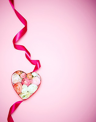 포토 JPG 스튜디오촬영 식물 꽃 리본 분홍색 백그라운드 실내 선물 사랑 사람없음 선물상자 하트 끈 하트상자 국내포토 모양 감정 컬러 내부 상자 파일형식