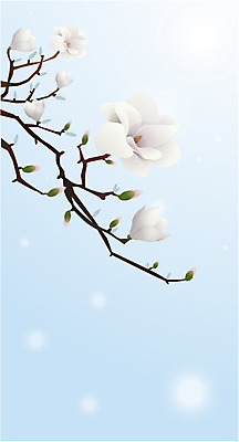 나무 식물 계절 꽃잎 꽃 컬러 백그라운드 잎 겨울 무늬 패턴 꽃백그라운드 일러스트 하늘 날씨 나뭇잎 사람없음 패턴백그라운드 흰색 나뭇가지 눈 철 꽃봉오리 목련 겨울배경 국내일러스트 AI파일 자연요소 파일형식 벡터