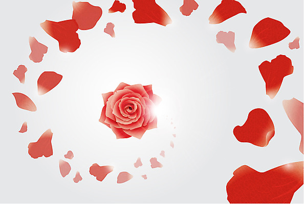 식물 꽃잎 꽃 컬러 백그라운드 잎 무늬 패턴 꽃백그라운드 일러스트 날리기 사람없음 빨간색 장미 패턴백그라운드 낙화 국내일러스트 AI파일 모션 파일형식 벡터