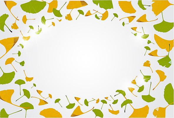 식물 배너 컬러 백그라운드 낙엽 잎 무늬 패턴 일러스트 나뭇잎 안내 프레임 알림판 사람없음 연두색 노란색 패턴백그라운드 알림 은행잎 나뭇잎배경 국내일러스트 AI파일 초록색 파일형식 벡터