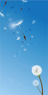 식물 꽃 컬러 백그라운드 잎 무늬 패턴 일러스트 하늘 날리기 씨앗 사람없음 패턴백그라운드 흰색 민들레 민들레홀씨 나뭇잎배경 국내일러스트 AI파일 모션 파일형식 벡터