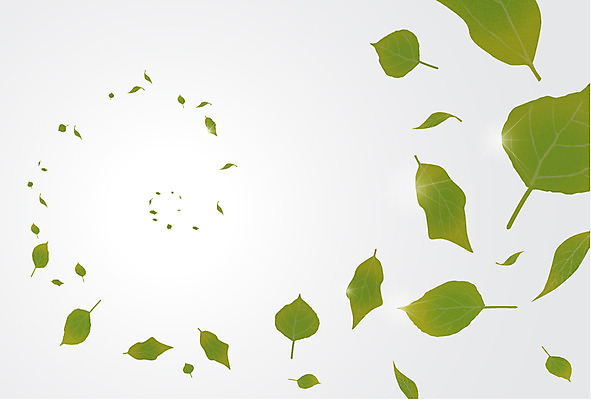 식물 백그라운드 잎 무늬 패턴 일러스트 날리기 나뭇잎 사람없음 패턴백그라운드 나뭇잎배경 국내일러스트 AI파일 모션 파일형식 벡터