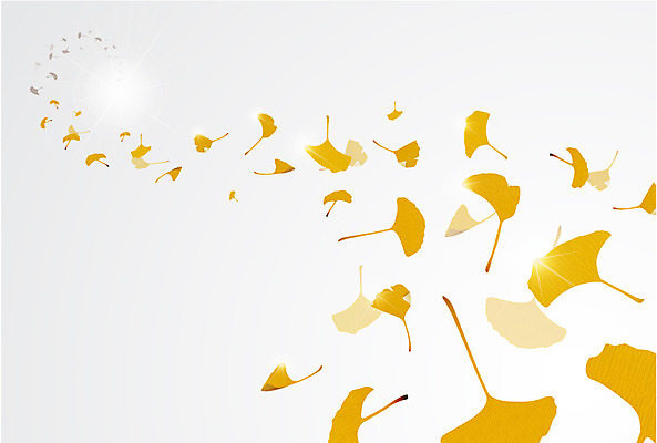 식물 컬러 백그라운드 잎 무늬 패턴 일러스트 나뭇잎 사람없음 노란색 패턴백그라운드 은행잎 나뭇잎배경 국내일러스트 AI파일 파일형식 벡터