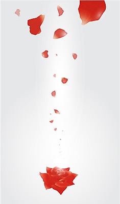 식물 꽃잎 꽃 컬러 백그라운드 잎 무늬 패턴 꽃백그라운드 일러스트 날리기 사람없음 빨간색 장미 패턴백그라운드 국내일러스트 AI파일 모션 파일형식 벡터