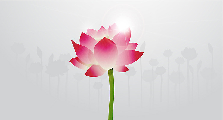 식물 꽃잎 꽃 컬러 백그라운드 잎 한송이 무늬 패턴 꽃백그라운드 일러스트 나뭇잎 연꽃 사람없음 빨간색 패턴백그라운드 국내일러스트 AI파일 1 송이 파일형식 벡터