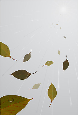 식물 백그라운드 잎 무늬 패턴 일러스트 날씨 나뭇잎 사람없음 패턴백그라운드 비 떨어짐 빗방울 나뭇잎배경 국내일러스트 AI파일 자연요소 컨셉 비_날씨 파일형식 벡터