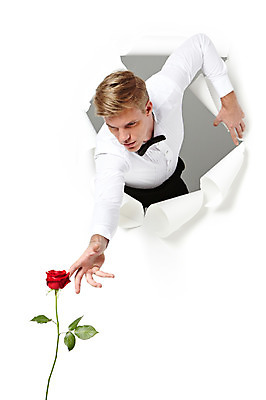 포토 JPG 스튜디오촬영 서양인 외국인 남자 종이 모션 실내 한명 서기 사람 상반신 20대 성인 앞모습 장미 잡기 청년만 청년남자만 청년남자한명만 성인남자한명만 뚫기 국내포토 1 꽃 뷰포인트 인종 청년 내부 남자만 남자한명만 성인남자만 성인만 파일형식