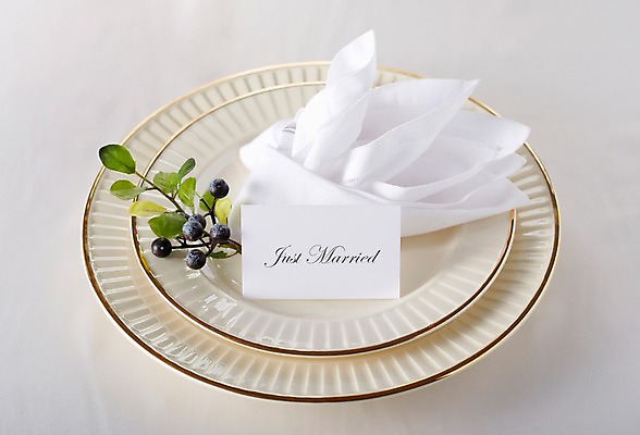 포토 JPG 스튜디오촬영 식물 그릇 식기 접시 열매 결혼 백그라운드 잎 식탁 탁자 실내 근접촬영 사람없음 아웃포커스 장식 식탁보 메모지 상차림 준비 웨딩테이블 국내포토 뷰포인트 가구 촬영기법 이벤트 내부 사무용품 파일형식