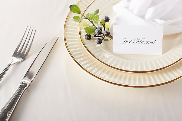 포토 JPG 스튜디오촬영 식물 그릇 식기 접시 열매 결혼 백그라운드 포크 식탁 탁자 실내 근접촬영 사람없음 아웃포커스 장식 식탁보 메모지 나이프 상차림 준비 웨딩테이블 국내포토 뷰포인트 가구 촬영기법 이벤트 내부 사무용품 칼 파일형식