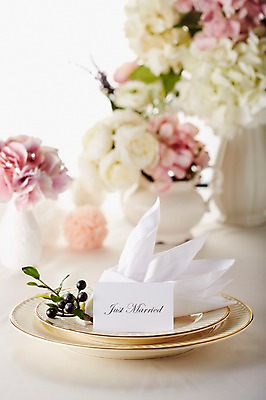 포토 JPG 스튜디오촬영 식물 그릇 식기 접시 열매 꽃 결혼 백그라운드 식탁 탁자 실내 근접촬영 사람없음 아웃포커스 장식 꽃병 식탁보 메모지 상차림 준비 웨딩테이블 국내포토 뷰포인트 가구 촬영기법 이벤트 내부 사무용품 파일형식