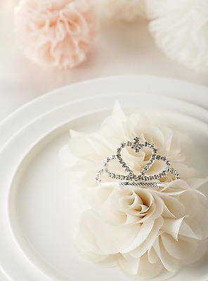 포토 JPG 스튜디오촬영 그릇 식기 접시 꽃 결혼 백그라운드 장신구 식탁 탁자 왕관 실내 근접촬영 사람없음 아웃포커스 장식 상차림 보석 티아라 준비 코사지 웨딩테이블 국내포토 식물 뷰포인트 가구 촬영기법 이벤트 내부 광석 파일형식