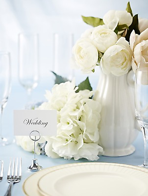 포토 JPG 스튜디오촬영 그릇 식기 접시 꽃 종이 결혼 백그라운드 포크 식탁 탁자 잔 실내 근접촬영 사람없음 아웃포커스 장식 컵 꽃병 메모지 상차림 준비 샴페인잔 웨딩테이블 국내포토 식물 뷰포인트 가구 술잔 촬영기법 이벤트 내부 사무용품 파일형식