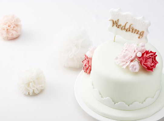 포토 JPG 스튜디오촬영 꽃 결혼 백그라운드 식탁 탁자 실내 근접촬영 사람없음 아웃포커스 장식 케이크 상차림 웨딩케이크 준비 웨딩테이블 국내포토 식물 뷰포인트 가구 디저트 촬영기법 이벤트 내부 파일형식