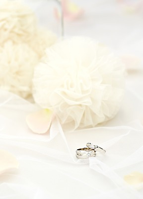 포토 JPG 스튜디오촬영 꽃 결혼 백그라운드 장신구 식탁 탁자 실내 근접촬영 사람없음 아웃포커스 장식 반지 상차림 보석 준비 결혼반지 커플반지 코사지 웨딩테이블 국내포토 식물 뷰포인트 가구 촬영기법 이벤트 내부 광석 파일형식