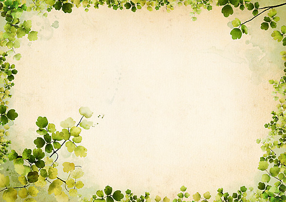 PSD 식물 배너 컬러 백그라운드 잎 무늬 꽃백그라운드 일러스트 자연 나뭇잎 안내 프레임 사각틀 틀 사람없음 초록색 나뭇가지 알림 꽃프레임 국내일러스트 나무 꽃 사각형 생태계 파일형식