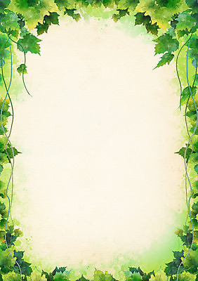 PSD 식물 배너 줄기 컬러 백그라운드 잎 무늬 꽃백그라운드 일러스트 자연 나뭇잎 안내 프레임 사각틀 틀 사람없음 초록색 담쟁이덩굴 덩굴 알림 꽃프레임 국내일러스트 꽃 사각형 생태계 파일형식