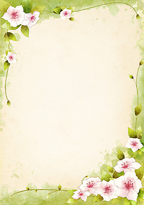 PSD 식물 배너 꽃 줄기 분홍색 컬러 백그라운드 잎 무늬 꽃무늬 꽃백그라운드 일러스트 자연 안내 프레임 사각틀 틀 사람없음 알림 꽃프레임 국내일러스트 사각형 생태계 파일형식