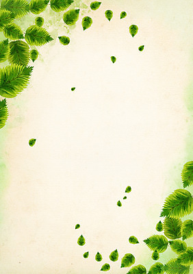 PSD 식물 배너 컬러 백그라운드 잎 무늬 꽃백그라운드 일러스트 자연 나뭇잎 안내 프레임 사각틀 틀 사람없음 초록색 알림 꽃프레임 국내일러스트 꽃 사각형 생태계 파일형식