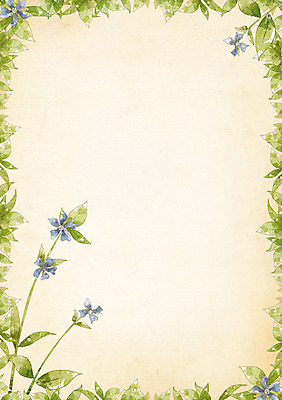 PSD 식물 배너 꽃 백그라운드 잎 무늬 꽃무늬 꽃백그라운드 일러스트 자연 안내 프레임 사각틀 틀 사람없음 알림 꽃프레임 국내일러스트 사각형 생태계 파일형식