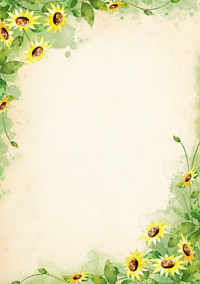 PSD 식물 배너 꽃 컬러 백그라운드 무늬 꽃무늬 꽃백그라운드 일러스트 자연 해바라기 안내 프레임 사각틀 틀 사람없음 노란색 알림 꽃프레임 국내일러스트 사각형 생태계 파일형식