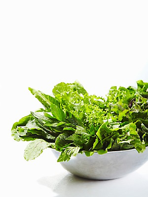 포토 JPG 스튜디오촬영 그릇 식기 음식 채소 식재료 재료 실내 종류 사람없음 농작물 신선 풀 상추 치커리 국내포토 식물 농업 내부 파일형식