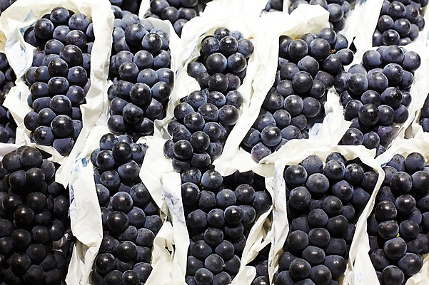 포토 JPG 스튜디오촬영 식물 열매 종이 음식 백그라운드 과일 식재료 재료 포도 실내 사람없음 농작물 신선 포도송이 포도알 국내포토 농업 내부 파일형식