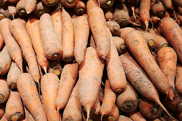 포토 JPG 스튜디오촬영 음식 다수 백그라운드 채소 식재료 재료 실내 사람없음 농작물 쌓기 당근 신선 국내포토 농업 모션 뿌리채소 내부 파일형식