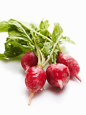 포토 JPG 스튜디오촬영 열매 음식 채소 식재료 재료 실내 사람없음 농작물 신선 국내포토 식물 농업 내부 파일형식