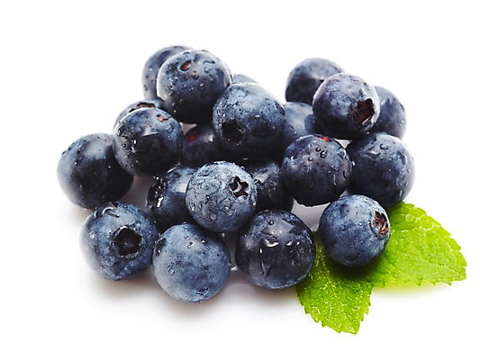 포토 JPG 스튜디오촬영 식물 열매 음식 잎 과일 식재료 재료 실내 근접촬영 사람없음 농작물 물방울 신선 블루베리 국내포토 뷰포인트 농업 내부 파일형식