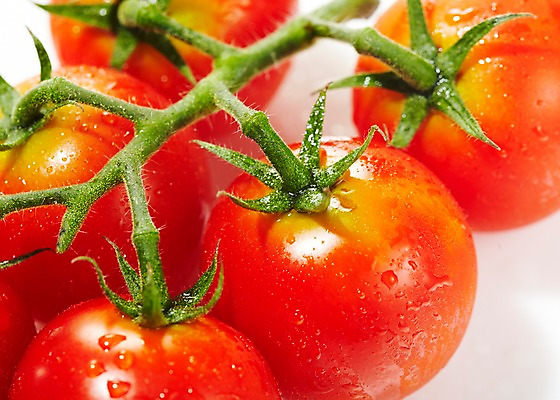 포토 JPG 스튜디오촬영 열매 음식 채소 식재료 재료 방울토마토 실내 근접촬영 사람없음 아웃포커스 농작물 신선 국내포토 식물 뷰포인트 농업 토마토 촬영기법 내부 파일형식