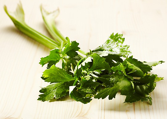 포토 JPG 스튜디오촬영 음식 잎 채소 식재료 재료 탁자 실내 근접촬영 사람없음 아웃포커스 농작물 신선 풀 샐러리 국내포토 식물 뷰포인트 가구 농업 촬영기법 내부 파일형식