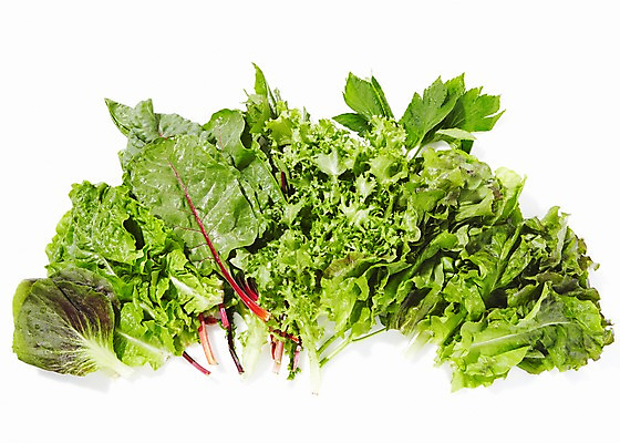 포토 JPG 스튜디오촬영 식물 음식 채소 식재료 재료 실내 사람없음 농작물 신선 풀 상추 다채 치커리 국내포토 농업 내부 파일형식