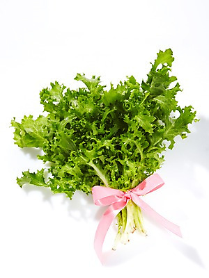 포토 JPG 스튜디오촬영 식물 리본 음식 채소 식재료 재료 실내 사람없음 농작물 신선 풀 치커리 국내포토 농업 내부 파일형식