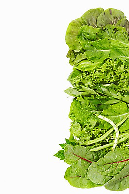 포토 JPG 스튜디오촬영 식물 음식 채소 식재료 재료 실내 사람없음 농작물 신선 풀 상추 다채 치커리 국내포토 농업 내부 파일형식