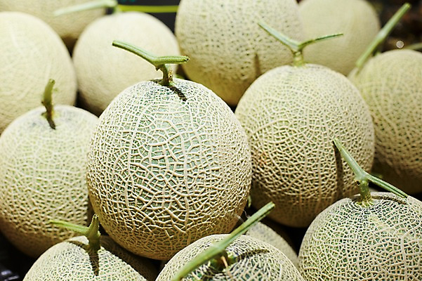 포토 JPG 스튜디오촬영 음식 백그라운드 과일 식재료 재료 실내 근접촬영 사람없음 아웃포커스 농작물 쌓기 신선 멜론 국내포토 뷰포인트 농업 모션 촬영기법 내부 파일형식