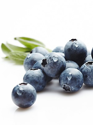 포토 JPG 스튜디오촬영 식물 열매 음식 잎 과일 식재료 재료 실내 근접촬영 사람없음 아웃포커스 농작물 물방울 신선 블루베리 국내포토 뷰포인트 농업 촬영기법 내부 파일형식