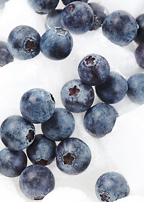 포토 JPG 스튜디오촬영 식물 열매 음식 과일 식재료 재료 실내 근접촬영 사람없음 아웃포커스 농작물 신선 블루베리 국내포토 뷰포인트 농업 촬영기법 내부 파일형식