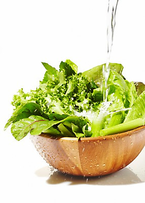 포토 JPG 스튜디오촬영 식물 그릇 식기 음식 채소 식재료 재료 물줄기 실내 사람없음 물 농작물 물방울 신선 풀 상추 나무그릇 다채 치커리 국내포토 자연요소 농업 내부 목재 파일형식