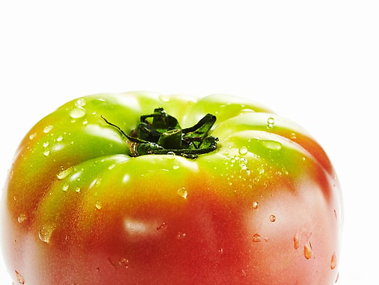 포토 JPG 스튜디오촬영 음식 토마토 채소 실내 근접촬영 사람없음 아웃포커스 농작물 물방울 신선 국내포토 뷰포인트 농업 촬영기법 내부 파일형식