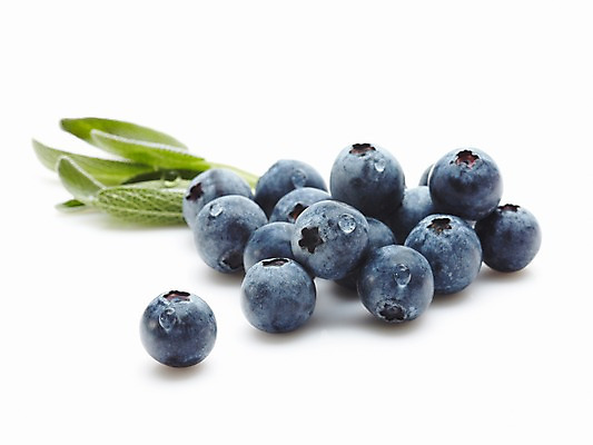 포토 JPG 스튜디오촬영 식물 열매 음식 잎 과일 식재료 재료 실내 근접촬영 사람없음 아웃포커스 농작물 물방울 신선 블루베리 국내포토 뷰포인트 농업 촬영기법 내부 파일형식