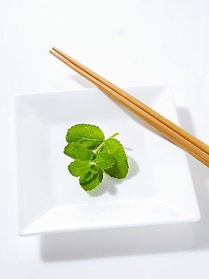 포토 JPG 스튜디오촬영 그릇 식기 접시 음식 잎 채소 식재료 재료 젓가락 실내 사람없음 농작물 신선 애플민트 국내포토 식물 농업 수저 내부 민트 파일형식