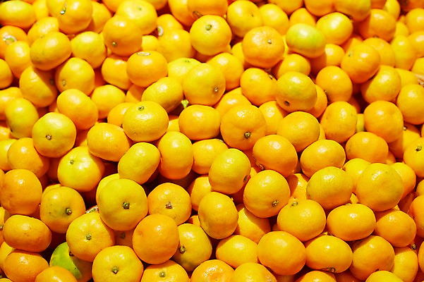 포토 JPG 스튜디오촬영 음식 백그라운드 과일 귤 실내 사람없음 농작물 쌓기 신선 제철과일 국내포토 농업 모션 내부 제철 파일형식