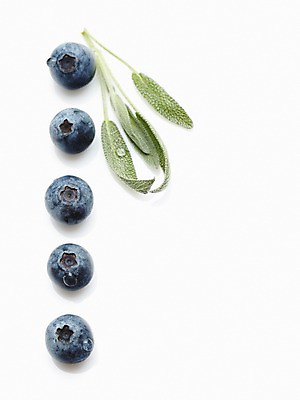 포토 JPG 스튜디오촬영 식물 열매 선 음식 잎 과일 식재료 재료 실내 근접촬영 사람없음 농작물 물방울 신선 블루베리 일렬 국내포토 뷰포인트 농업 내부 파일형식