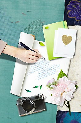 PSD 식물 편집이미지 손 배너 꽃 종이 백그라운드 안내 프레임 한손 알림판 한명 들기 신체부위 필기구 펜 카메라 공책 봄 알림 이미지편집 카드프레임 1 계절 모션 문구용품 사람 전자제품 파일형식