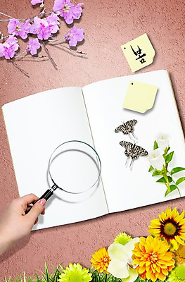 PSD 식물 동물 편집이미지 문자 손 배너 꽃 나비 곤충 백그라운드 잎 돋보기 안내 프레임 한손 알림판 한명 들기 한글 신체부위 공책 봄 나뭇가지 관찰 알림 이미지편집 나무 1 계절 모션 문구용품 사람 파일형식