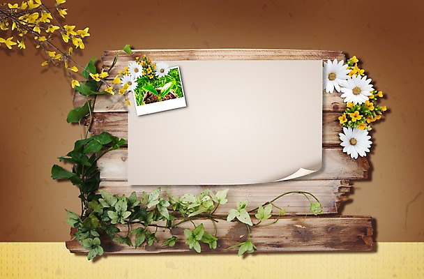 PSD 식물 편집이미지 배너 꽃 종이 백그라운드 잎 안내 프레임 알림판 사람없음 봄 나뭇가지 표지판 알림 나무판자 기념사진 이미지편집 나무 계절 목재 파일형식