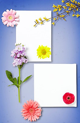 PSD 식물 편집이미지 배너 꽃 종이 백그라운드 안내 프레임 알림판 사람없음 봄 나뭇가지 메모지 알림 이미지편집 나무 계절 사무용품 파일형식